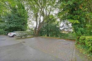 Tapton Mount Close Broomhill